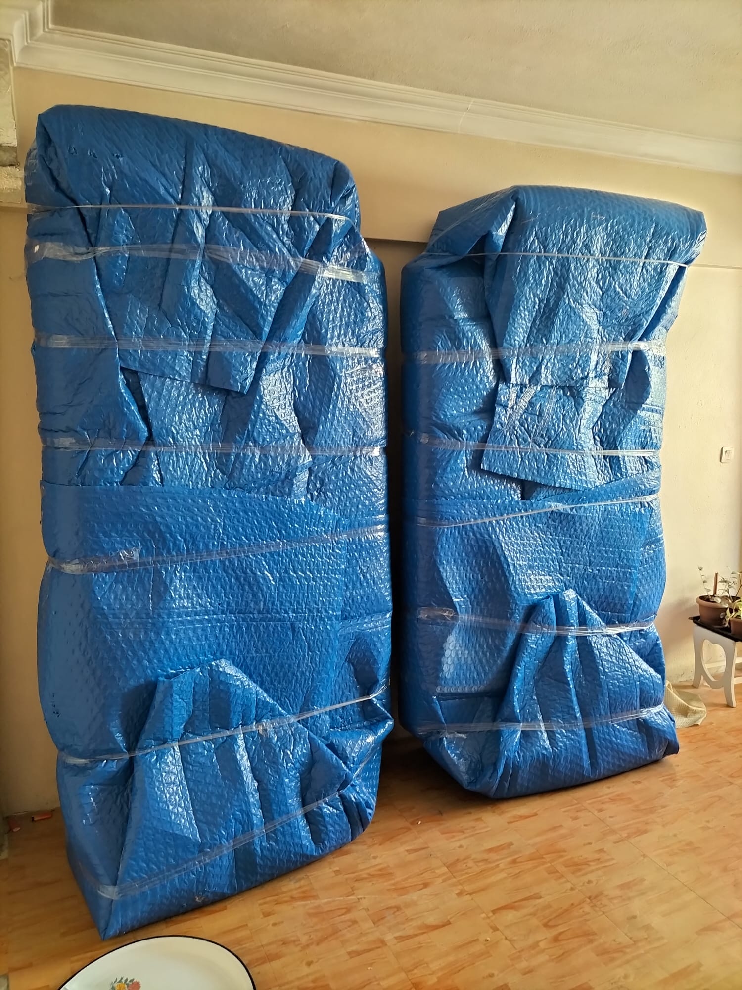 WhatsApp Image 2026-01-28 at 21.50.49 (1)