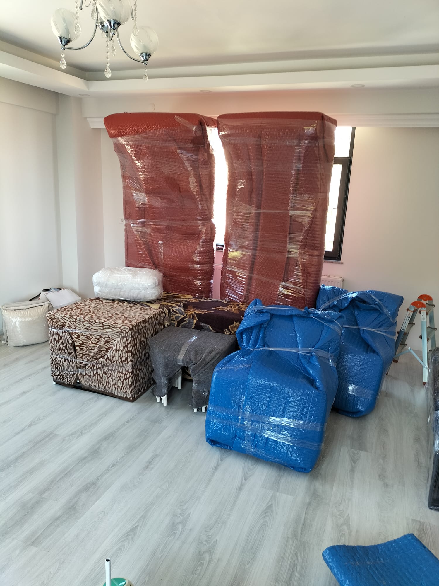 WhatsApp Image 2026-01-28 at 21.50.49 (3)